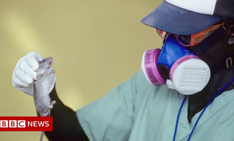 Lassa fever: Patient died at Bedfordshire hospital