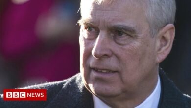 Prince Andrew: Concerns from charities about prince's offer to assist victims