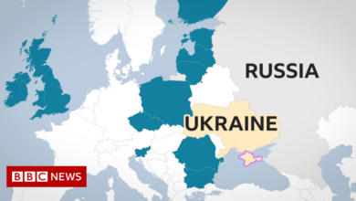 Ukraine invasion: Russian planes face a ban on almost all airspace in the west