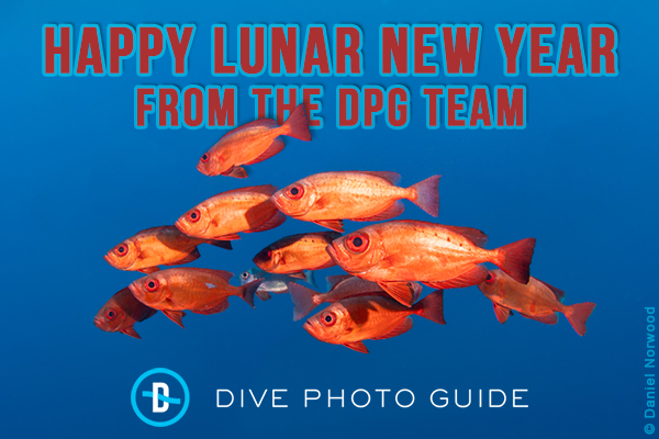 Happy Lunar New Year from DPG