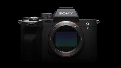 Sony says Sony is the top mirrorless camera and lens brand in North America