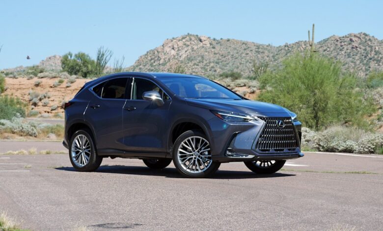 Review Lexus NX 2022 |  A solid entry for hybrid hunters