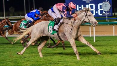 Lord Glitters and O'Neill's highly regarded victory in Dubai