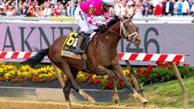 Pimlico to Preakness Weekend Features 16 stakes