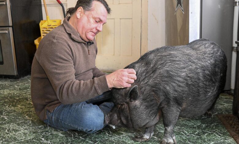 AP News: Supportive or offensive?  Man fights to keep his pet pig