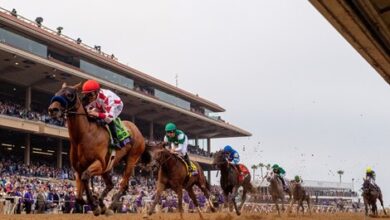 312 Horses Nominated Early to 2022 Triple Crown