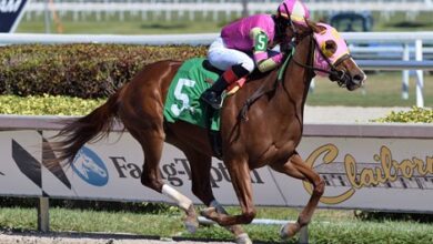 Groupie Doll's Daughter Doll Baby earns debut score