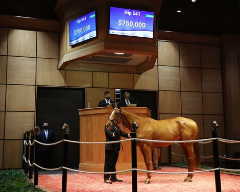 FT Kentucky Winter Mixed Sale ends with record totals
