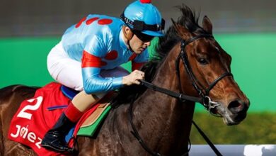 Japanese horse sweeps four races on Saudi Cup card