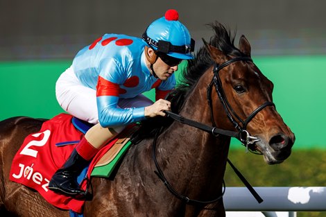 Japanese horse sweeps four races on Saudi Cup card