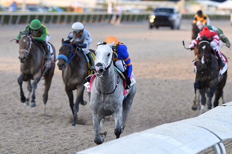 White Abarrio is likely to continue running in the Florida Derby