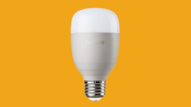 10 Best Smart Bulbs (2022): Ambient Light, Kits, Colors and More