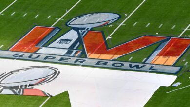 How to Live Stream Super Bowl 2022 (and Puppy Bowl)