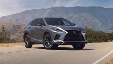 Review Lexus RX 2022 |  Smooth, quiet and well built to appeal to the masses