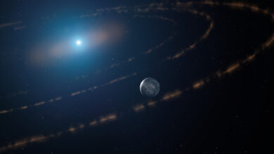 Planetary bodies observed for the first time in dead star's habitable zone - Taking it slow?