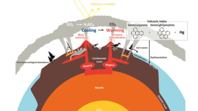 Low Volcanic Temperatures Created Global Cooling and Dinosaur Growth - Rise for that?
