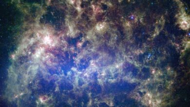 Scientists Mapped the Dark Matter Web Surrounding the Milky Way