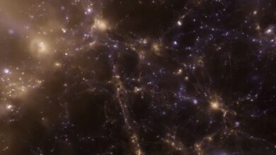 Any Single Galaxy Reveals Composition Of The Entire Universe