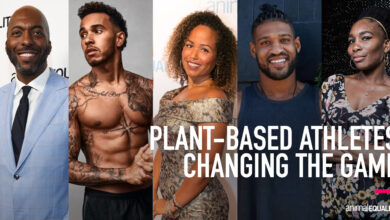 Black History Month Spotlight: Game-changing plant-based athletes |  Animal equality