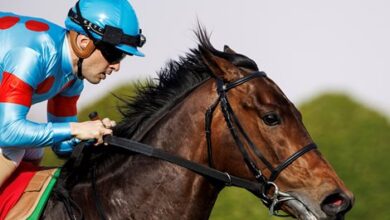 Japanese horses sweep Saudi Arabia's turf races