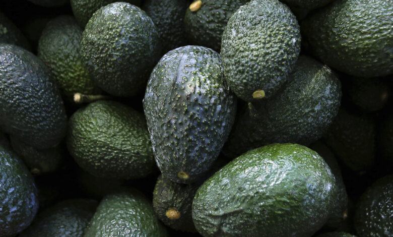 Not long before the Super Bowl, the US stopped importing avocados from Mexico: NPR