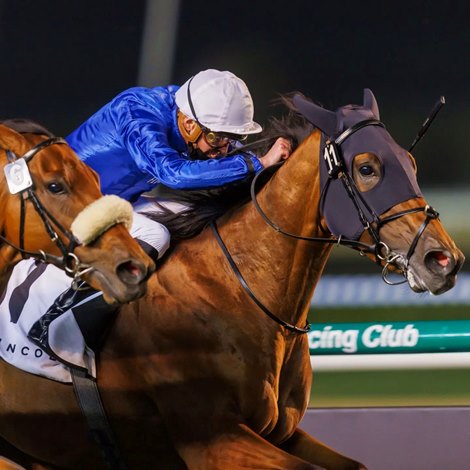 Godolphin once again dominates Dubai Carnival: Derby Hope?