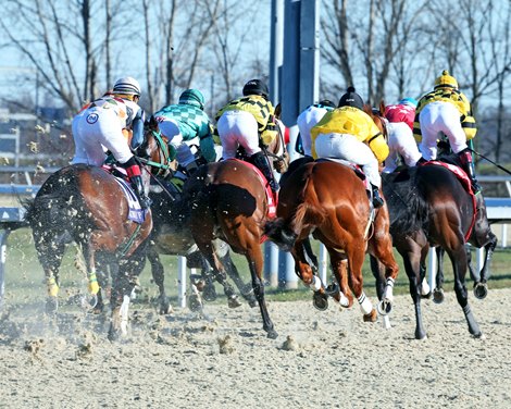 Turfway cancels February 3 pass with snow, ice forecast