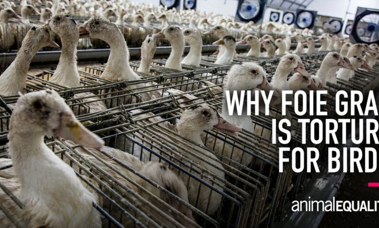 What is Foie Gras and how is it prepared?