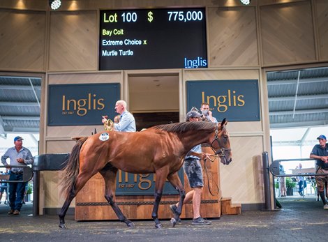 Extreme Choice Colt sets a classic record on the first day