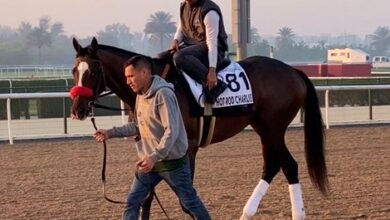 Hot Rod Charlie returns to work tab after victory in Dubai