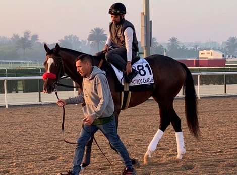 Hot Rod Charlie returns to work tab after victory in Dubai