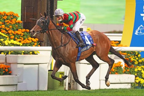 Russian Emperor beat Golden Sixty in HK Gold Cup