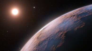 Another planet has been discovered orbiting Proxima Centauri - Risen thanks to that?