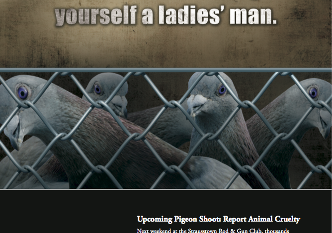 Pigeon shooting advertisement