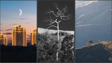 Intimate landscapes and cities with the Sony 70-200mm F/2.8 G Master II
