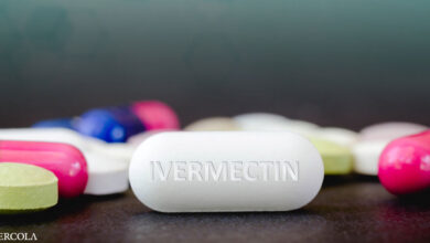 New research claims Ivermectin works better than other options
