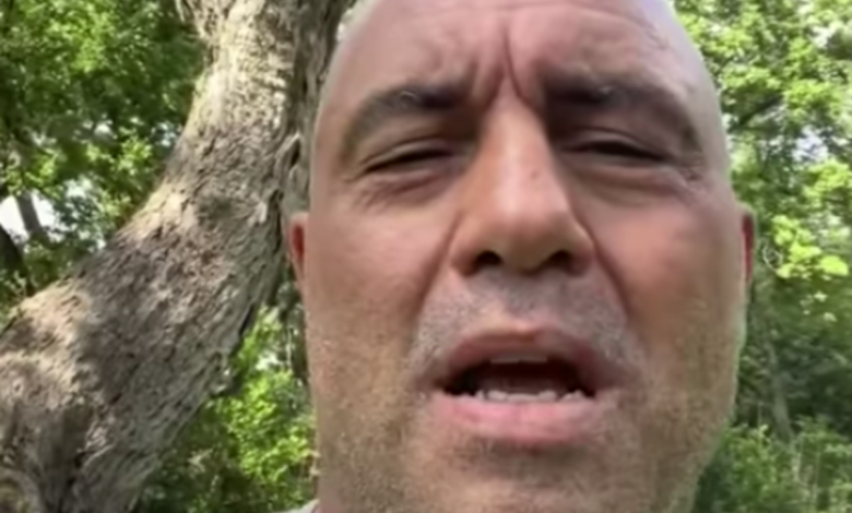 Joe Rogan Apologizes For Using N-Word On His Podcast