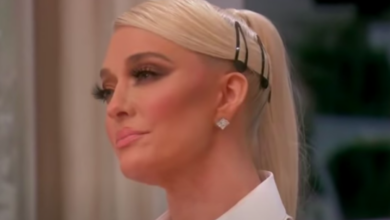 RHOBH's Erika Jayne removed from embezzlement & fraud case against Tom Girardi