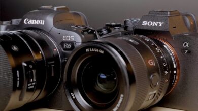 Portrait and wedding camera, which is better Sony a7 IV or Canon EOS R6?