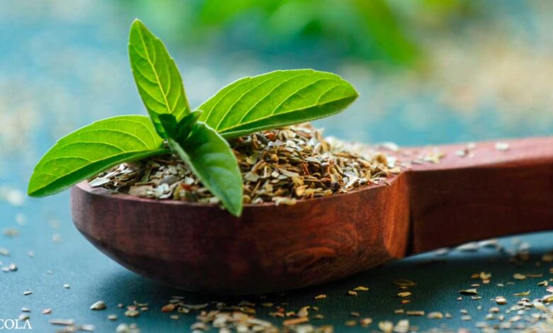 Why this one herb can help with diabetes, hypertension