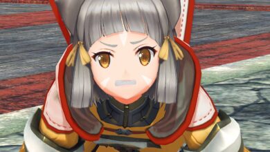 Xenoblade Chronicles 2 Nia Pictures for over $250