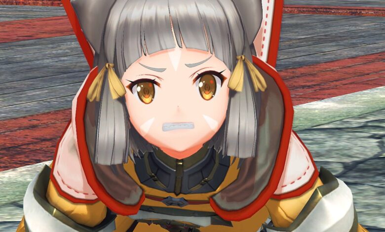 Xenoblade Chronicles 2 Nia Pictures for over $250