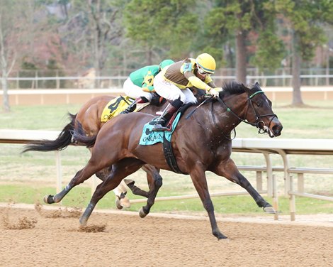 Gar Hole, Connie K Shine in Arkansas-Bred Stakes