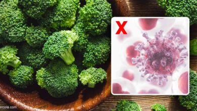 Broccoli Shows Major Healing Potential