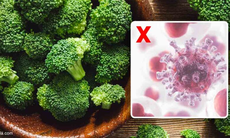 Broccoli Shows Major Healing Potential