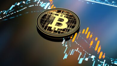 Five months later, bitcoin ETFs plummet but show signs of staying strong