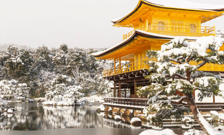 JAPAN HAS NO WINTER WINTER WINTER WINTER WIFE in decades… Winter Tokyo hasn't been warmed up since 1984!  - Is it good?