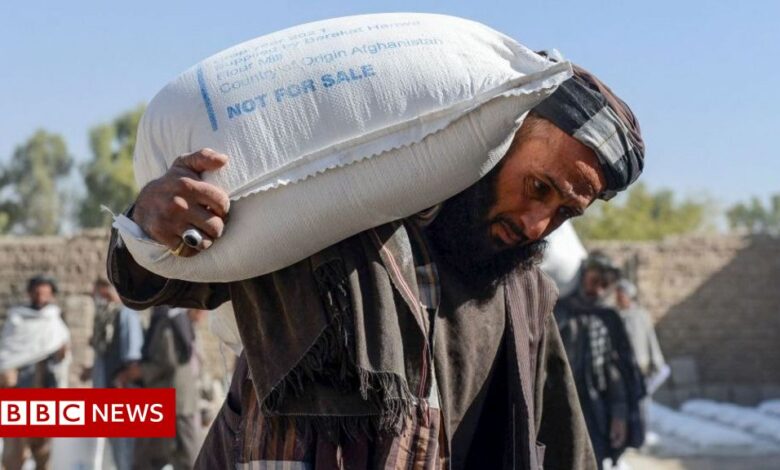 Afghanistan: MPs 'embarrassed' for supporting aid workers