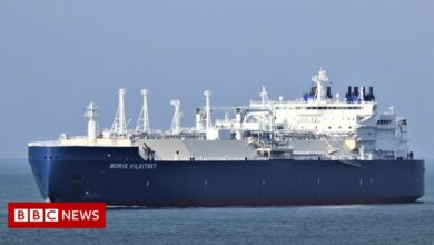 Ukraine sanctions: British ships docked to refuse Russian gas tankers