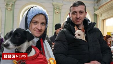 Ukraine War: UK DEC Charity Call Raises £55m in One Day